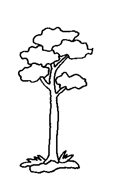 drzewko2.bmp